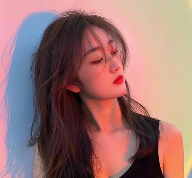 做一只鸟真不容易